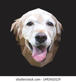 Animal Vector Low Poly face of an adult Golden Retriever that stick it's tongue. Seen from front direction, with black background. 