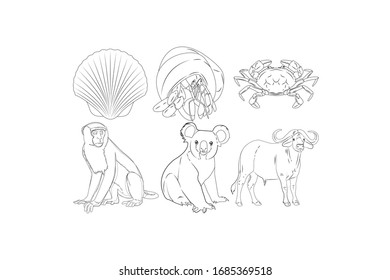 Animal Vector Outline Design Illustration Bundle