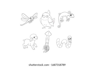 Animal Vector Outline Design Illustration Bundle