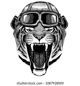 Animal wearing aviator helmet with glasses. Vector picture. Wild tiger Hand drawn image for tattoo, emblem, badge, logo, patch, t-shirt