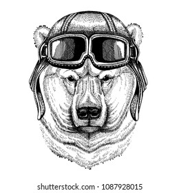 Animal Wearing Aviator Helmet Glasses Vector Stock Vector (royalty Free 