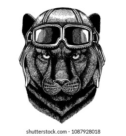 Animal wearing aviator helmet with glasses. Vector picture. Panther Puma Cougar Wild cat Hand drawn image for tattoo, emblem, badge, logo, patch, t-shirt