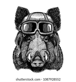 Animal wearing aviator helmet with glasses. Vector picture. Aper, boar, hog, wild boaraper, boar, hog, wild boar Hand drawn image for t-shirt, tattoo, emblem, badge, logo, patch