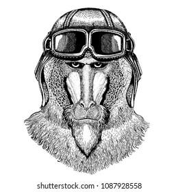 Animal wearing aviator helmet with glasses. Vector picture. Monkey, baboon, dog-ape, ape Hand drawn image for tattoo, emblem, badge, logo, patch