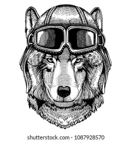 Animal wearing aviator helmet with glasses. Vector picture. Wolf, dog. Hand drawn image for tattoo, emblem, badge, logo, patch