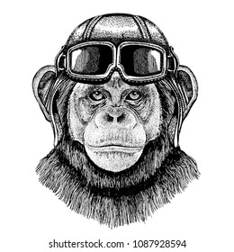 Animal wearing aviator helmet with glasses. Vector picture. Chimpanzee Monkey Hand drawn illustration for tattoo, emblem, badge, logo, patch, t-shirt