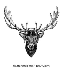 Animal wearing aviator helmet with glasses. Vector picture. Deer Hand drawn illustration for tattoo, emblem, badge, logo, patch, t-shirt