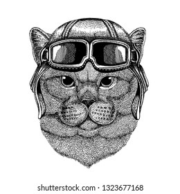 Animal wearing aviator helmet with glasses. Vector picture. Brithish noble cat Male Hand drawn image for tattoo, emblem, badge, logo, patch