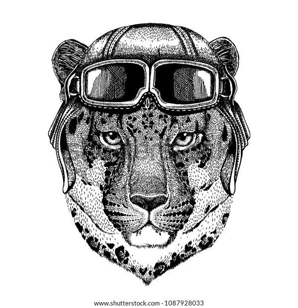 Animal Wearing Aviator Helmet Glasses Vector Stock Vector (Royalty Free