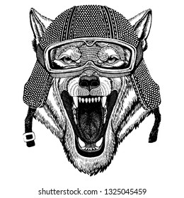 Animal wearing motorycle helmet. Image for kindergarten children clothing, kids. T-shirt, tattoo, emblem, badge, logo patch