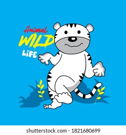 animal wild life baby tiger