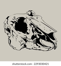 Animal wild skull bone line art vector silhouette 