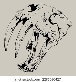 Animal wild skull bone line art vector silhouette 