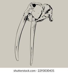 Animal wild skull bone line art vector silhouette 