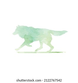 animal wild wolf watercolor  vector