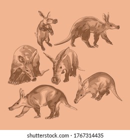 Animal Wildlife Aardvark Overlapping Vector Style Set