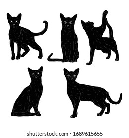 Animal Wildlife Abbysian Cat Silhouette Set Ver2