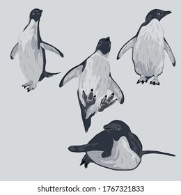 Animal Wildlife Adelie Penguin Overlapping Vector Style Set