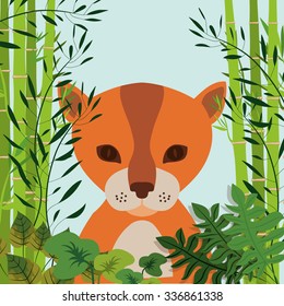 animal wildlife design, vector illustration eps10 graphic 