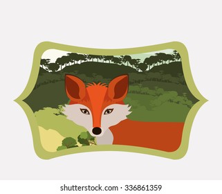 animal wildlife design, vector illustration eps10 graphic 