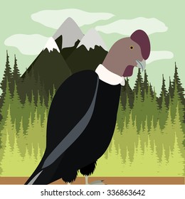 animal wildlife design, vector illustration eps10 graphic 