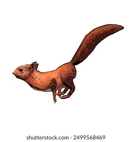 Animal wildlife ilustration design of red squirel pose