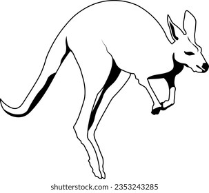 animal, wildlife, wild, australia, mammal, kangaroo, zoo, illustration, nature, isolated