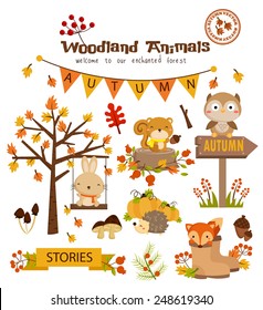 Animal Woodland Autumn Vector Set