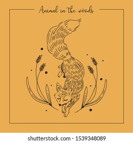 animal in the woods, bear