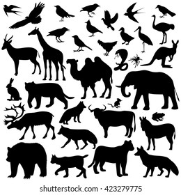 animal world image,vector illustration