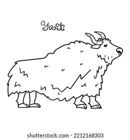 Animal. Yak. Vector outline illustration on white background.