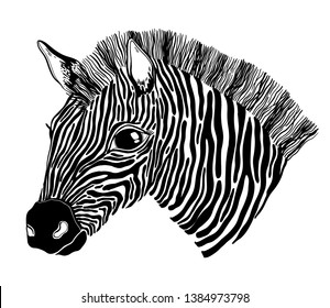 Animal zebra black and white head. Black color graphic in white background .For print on a T-shirt, a picture in the nursery and motif tattoo.Vector illustration
