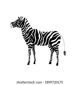 dibujo de cebra animal, ilustración vectorial