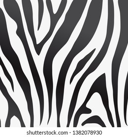 Animal zebra texture  pattern vector