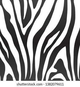 Animal zebra texture  pattern vector