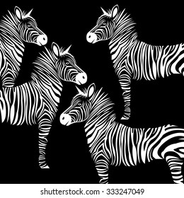 animal zebra vector illustration wild mammal white black zoo striped