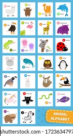 Animal zoo abc alphabet. Cute cartoon set. Baby children education. Alpaca llama bear dolphin camel eagle flamingo giraffe iguana hippopotamus koala sloth unicorn owl penguin bunny. Flat design Vector