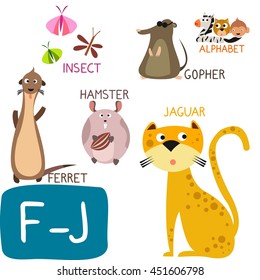 Animal Zoo Alphabet. Letter F-J. Ferret, Gopher, Hamster, Insect and Jaguar. Fun teaching aids for Kids