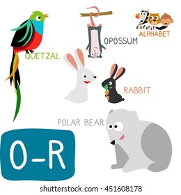 Animal Zoo Alphabet. Letter O-R. Opossum, Polar Bear, Quetzal and Rabbit. Fun teaching aids for Kids