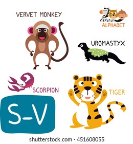 Animal Zoo Alphabet. Letter S-V. Scorpion, Tiger, Velvet Monkey and Uromastyx. Fun teaching aids for Kids