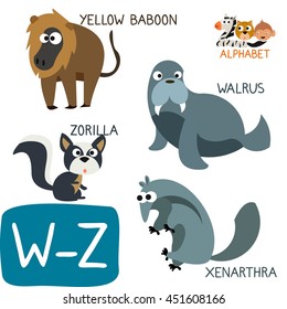 Animal Zoo Alphabet. Letter W-Z. Walrus, Xenarthra, Yellow Monkey and Zorilla. Fun teaching aids for Kids