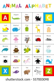 Animal zoo alphabet poster Cute cartoon character set. Isolated White background Baby children education Alligator bear cat duck elephant frog giraffe hamster iguana Flat design Vector illustration