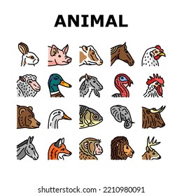 animal zoo nature wildlife icons set vector. lion, elephant, jungle safari, fox, funny baby, zebra tiger, bear, giraffe, nature animal zoo nature wildlife color line illustrations