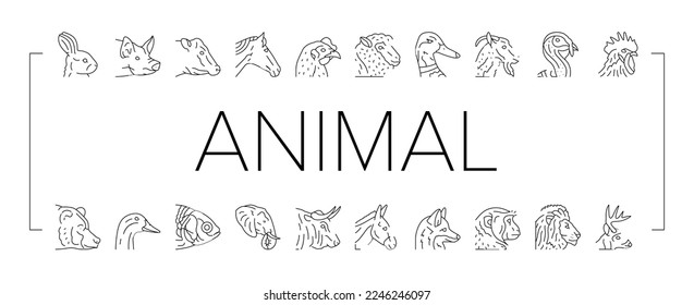 animal zoo nature wildlife icons set vector. lion, elephant, jungle safari, fox, funny baby, zebra tiger, bear, giraffe, nature animal zoo nature wildlife black contour illustrations