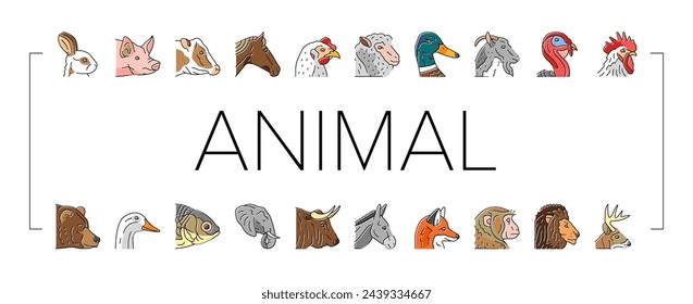 animal zoo nature wildlife icons set vector. lion, elephant, jungle safari, fox, funny baby, zebra tiger, bear, giraffe, nature animal zoo nature wildlife color line illustrations
