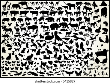 animals 250 vectors