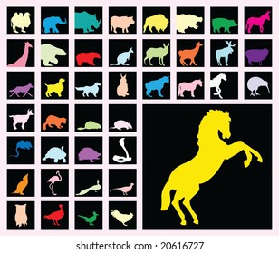 animals