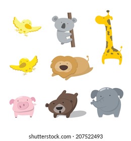Animals