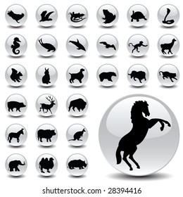 animals