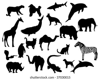 Animals Stock Vector (Royalty Free) 37030015 | Shutterstock